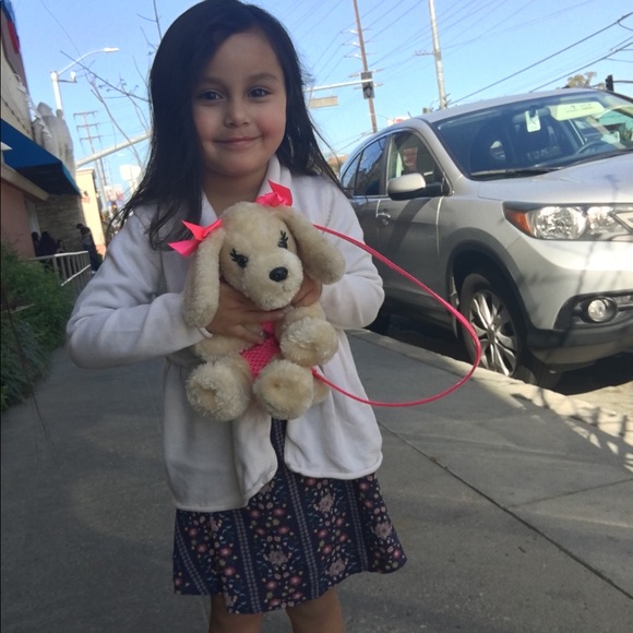 Meet your Posher, Eli - Picture 4 of 7